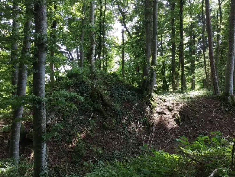 Burgruine Altrietheim, Germany